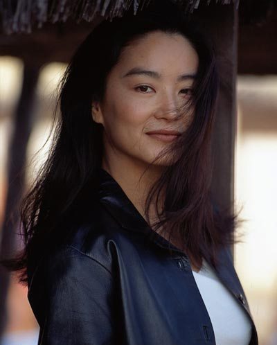 Foh Siu Hung Lin Ji [1994]