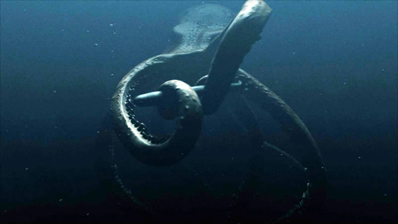 Mega Shark vs. Giant Octopus movies in Bulgaria