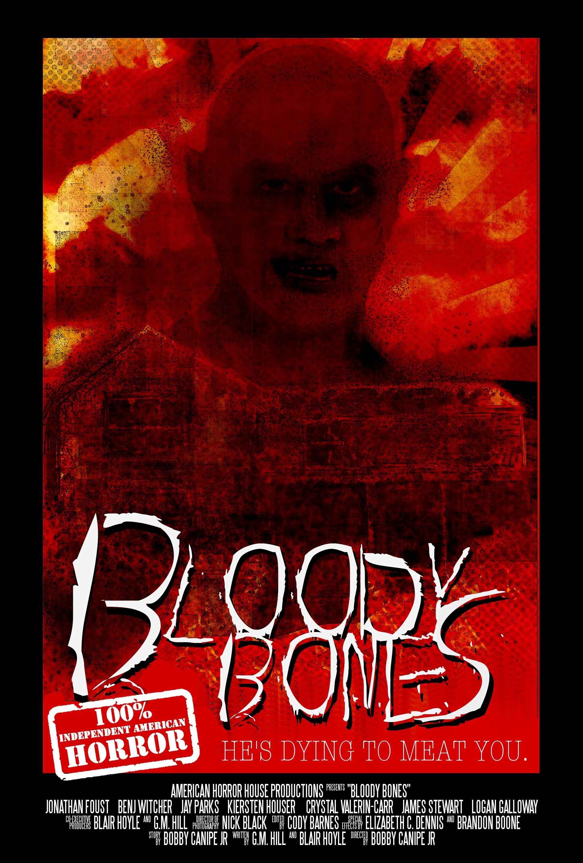 bloody bones novel