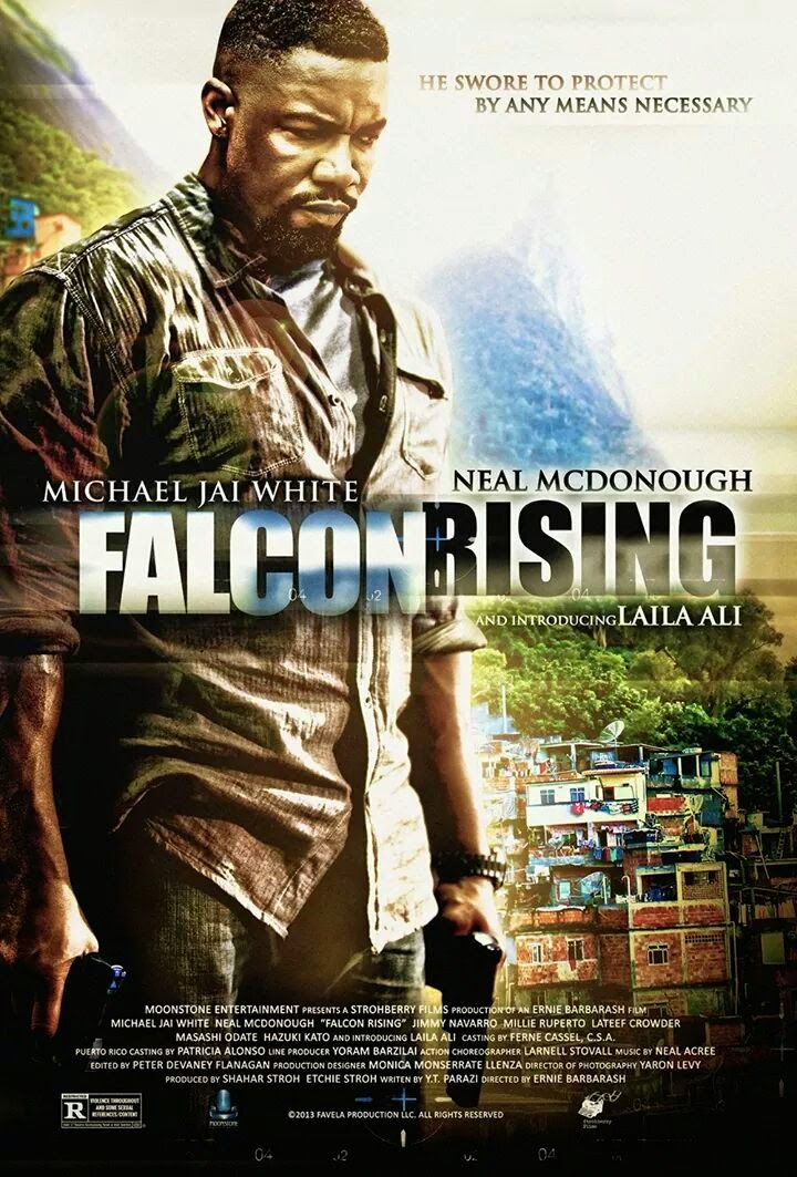 falcon rising movie 2014