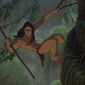 Foto 54 Tarzan