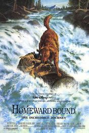 Homeward Bound: The Incredible Journey - Calatoria (1993)