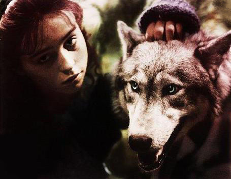 a comparison between angela carters the company of wolves and the grimm brotherss little red riding The bloody chamber study guide contains a biography of angela carter carter's stories based on red riding the company of wolves and the tiger's bride. a comparison between angela carters the company of wolves and the grimm brotherss little red riding The bloody chamber study guide contains a biography of angela carter carter's stories based on red riding the company of wolves and the tiger's bride.