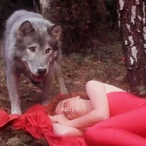Волк поймал красную шапочку трахнул ее и накончал ей на лицо и сиськи