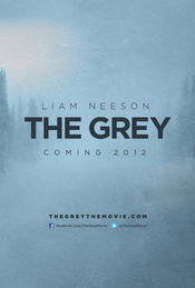 Poster The Grey