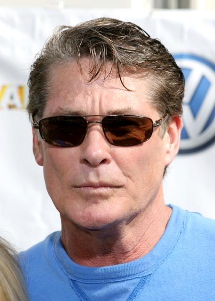 Next photo of David Hasselhoff