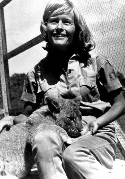 Poze Virginia McKenna