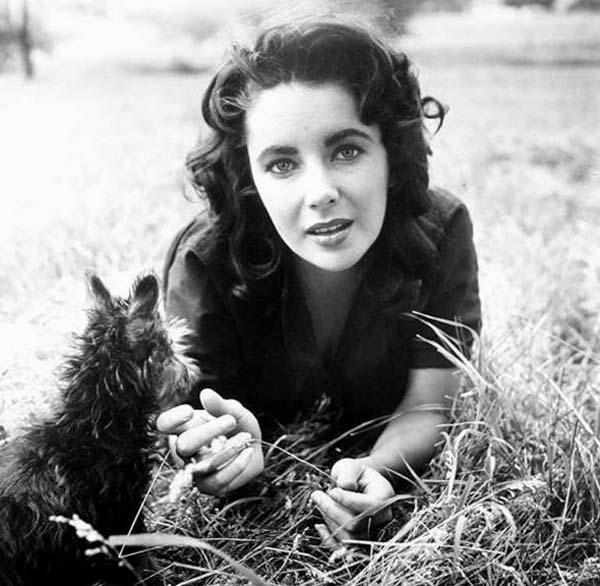 Poze Elizabeth Taylor