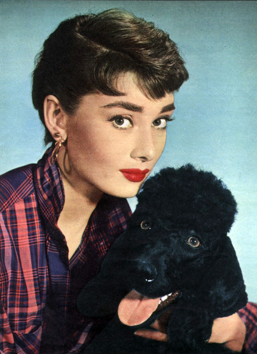 Poze Audrey Hepburn