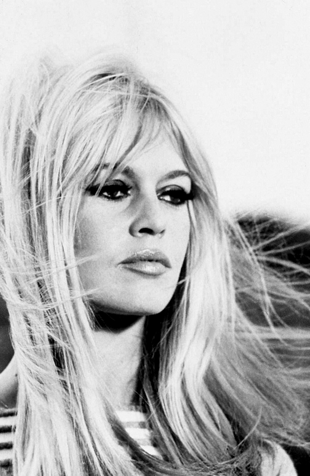 the bay bardot