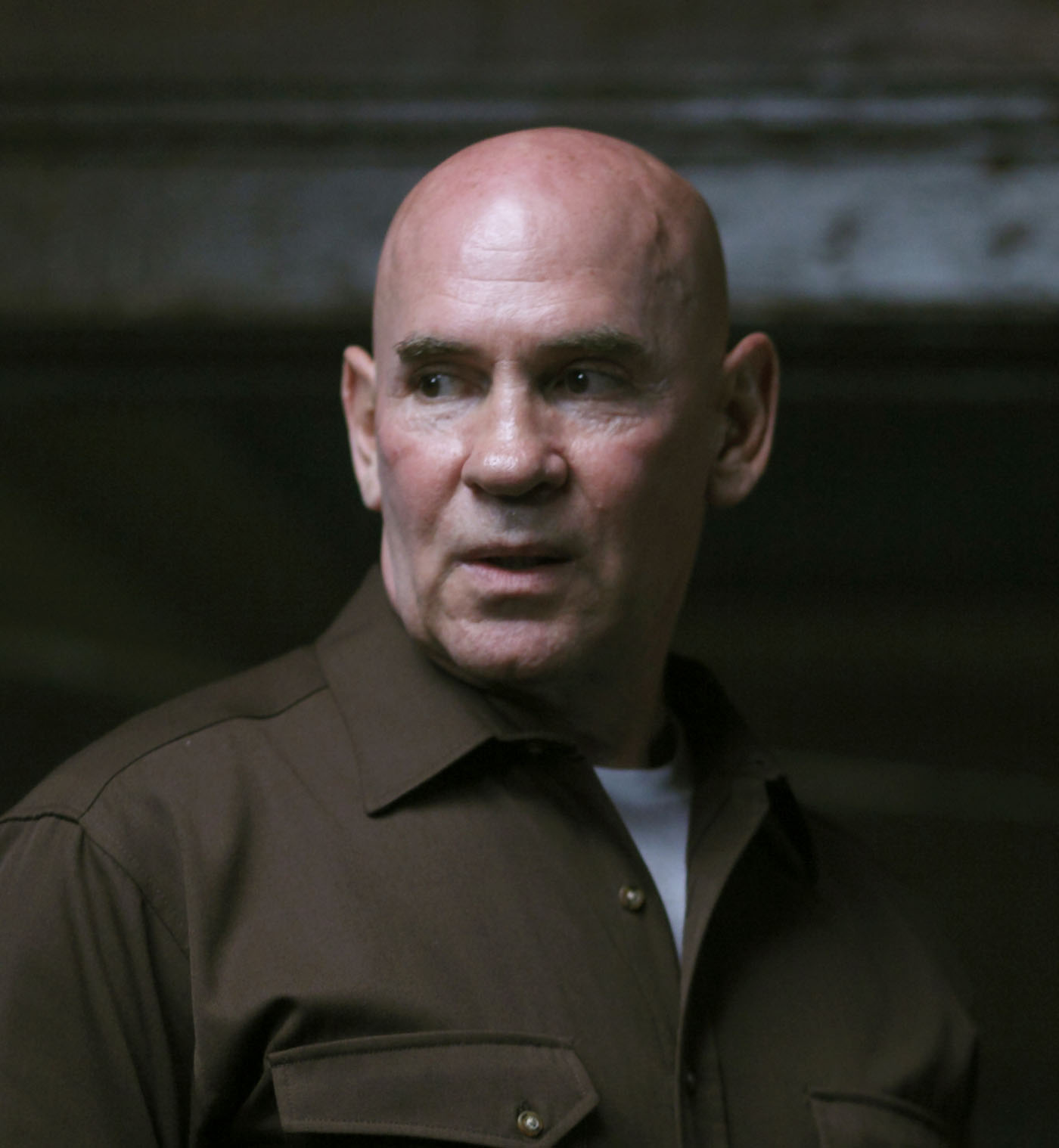 Mitch Pileggi stargate atlantis