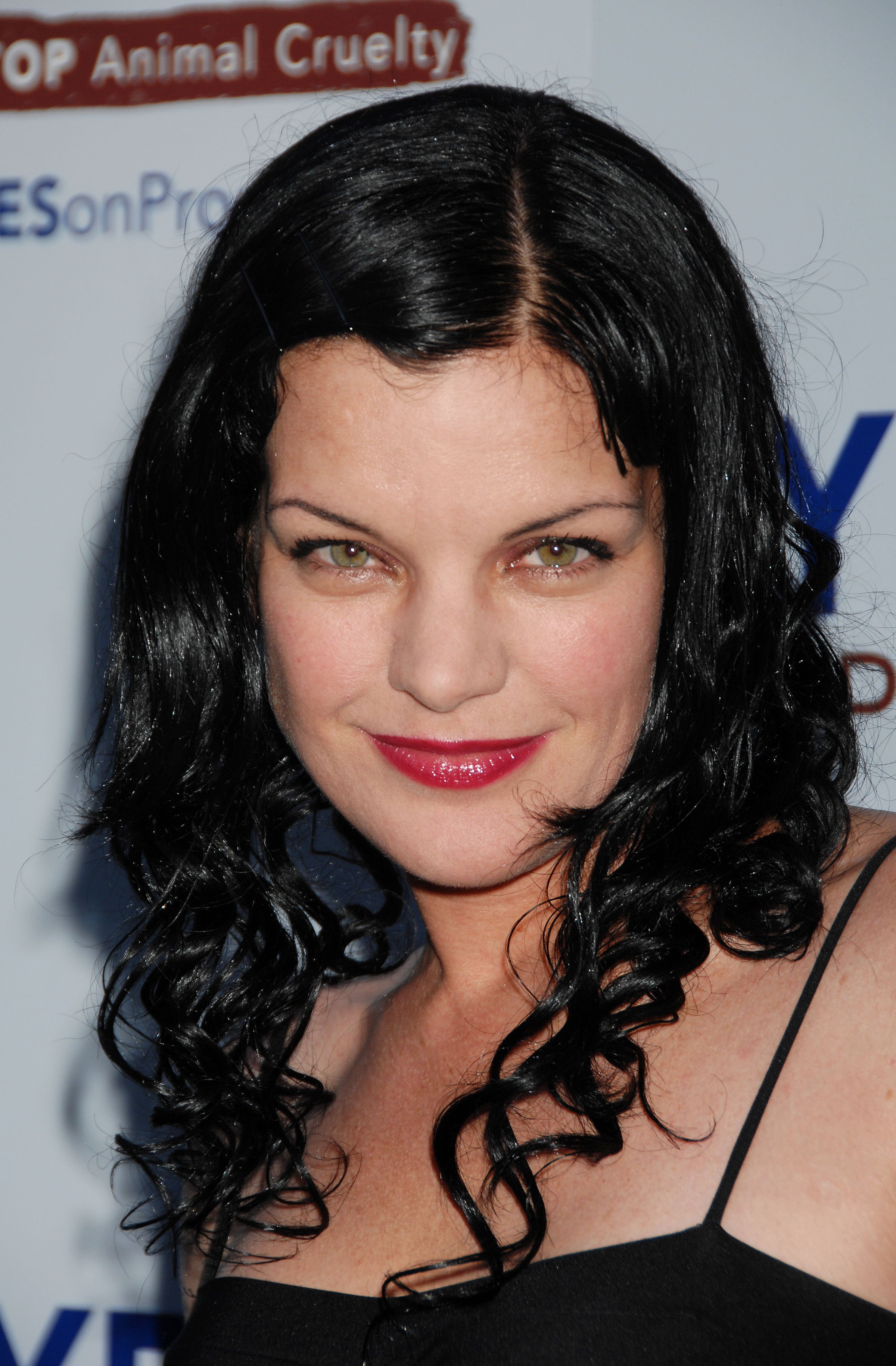 Poze rezolutie mare Pauley Perrette Actor Poza 79 din 92 CineMagia.ro