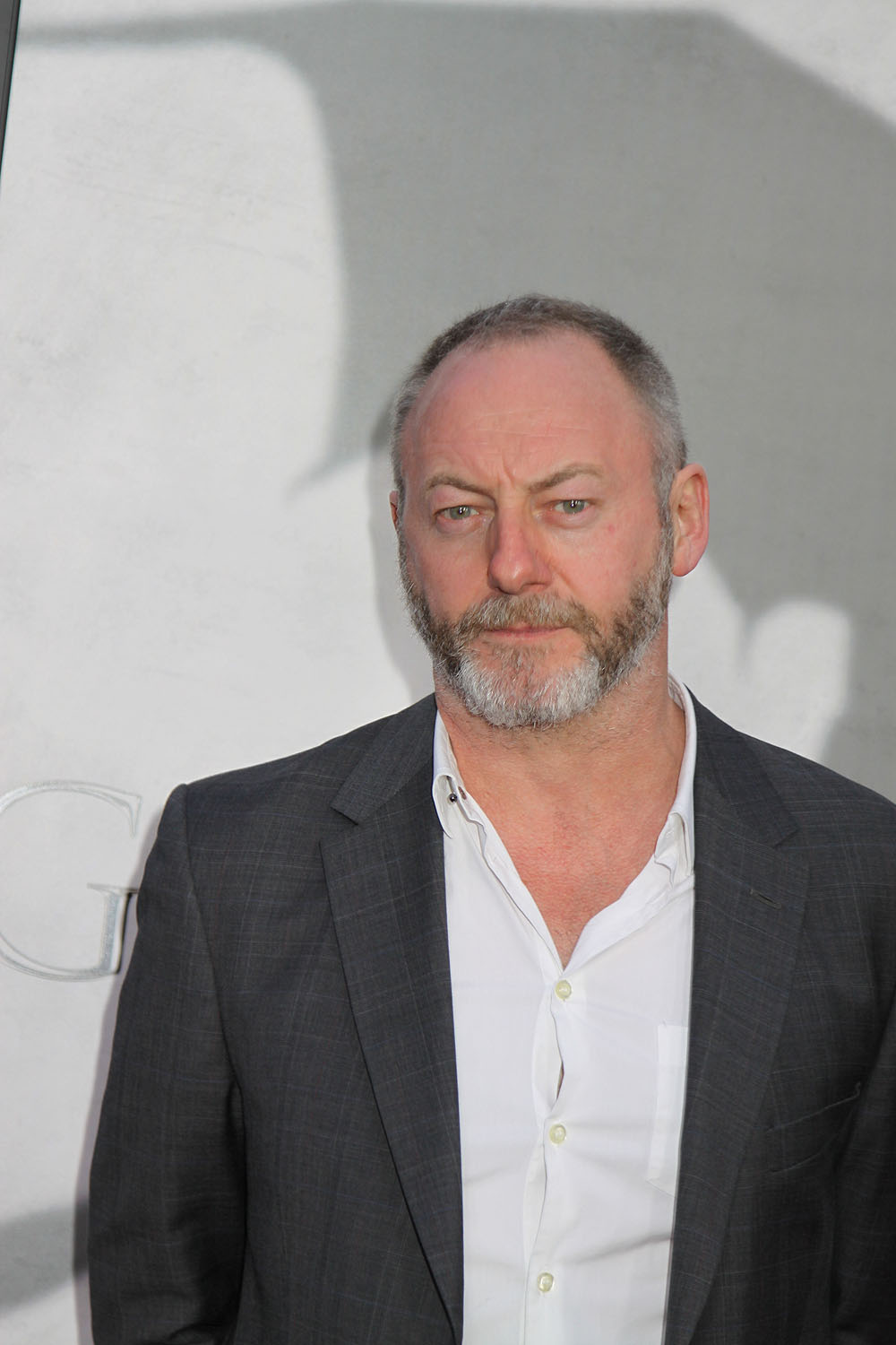 Liam Cunningham actor