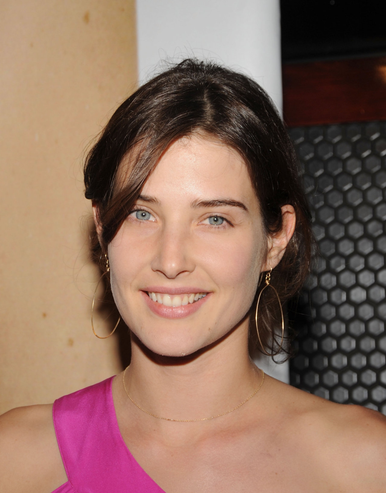 Poze Cobie Smulders - Actor - Poza 28 din 63 - CineMagia.ro