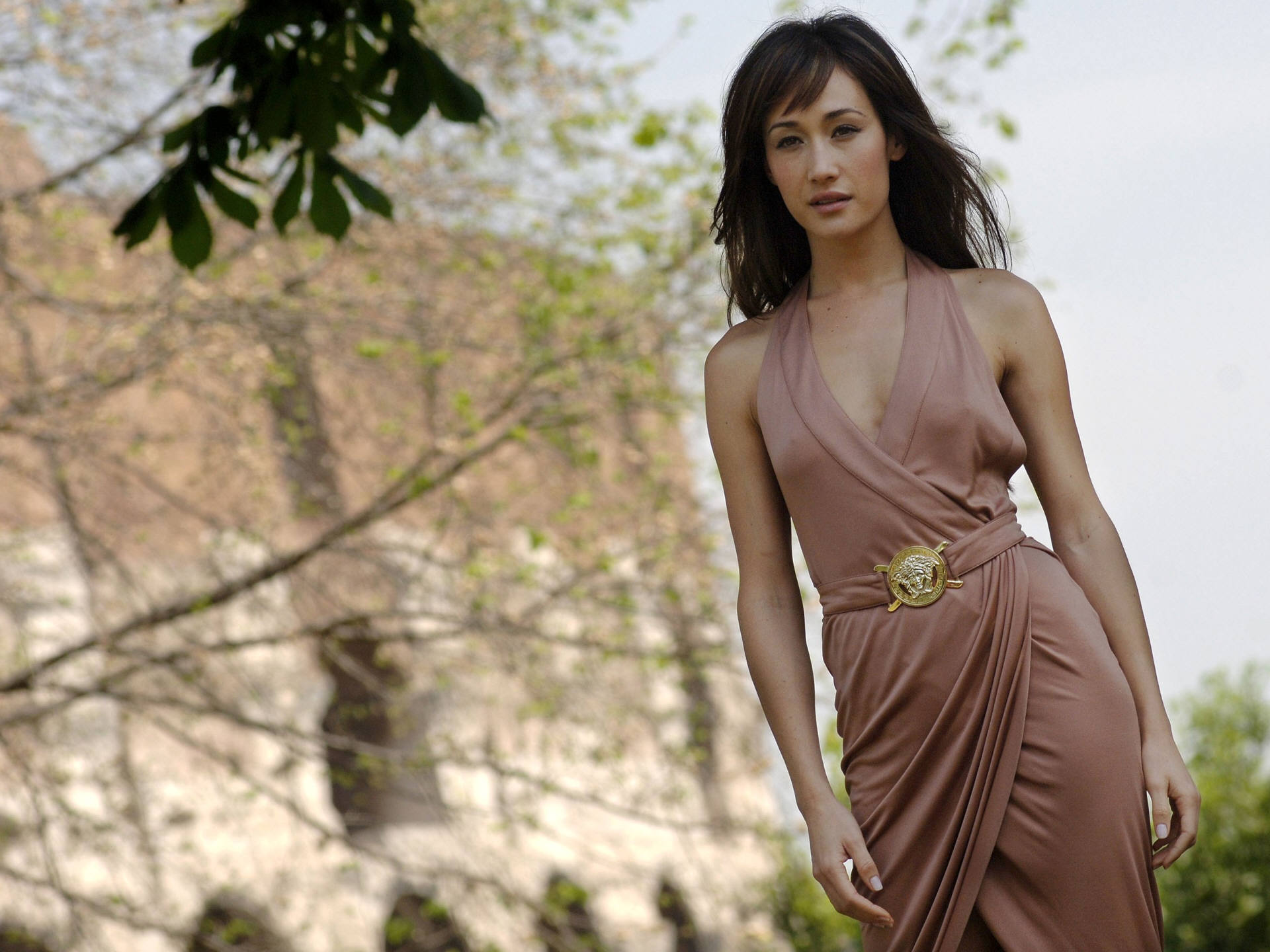 Picture Of Maggie Q B34