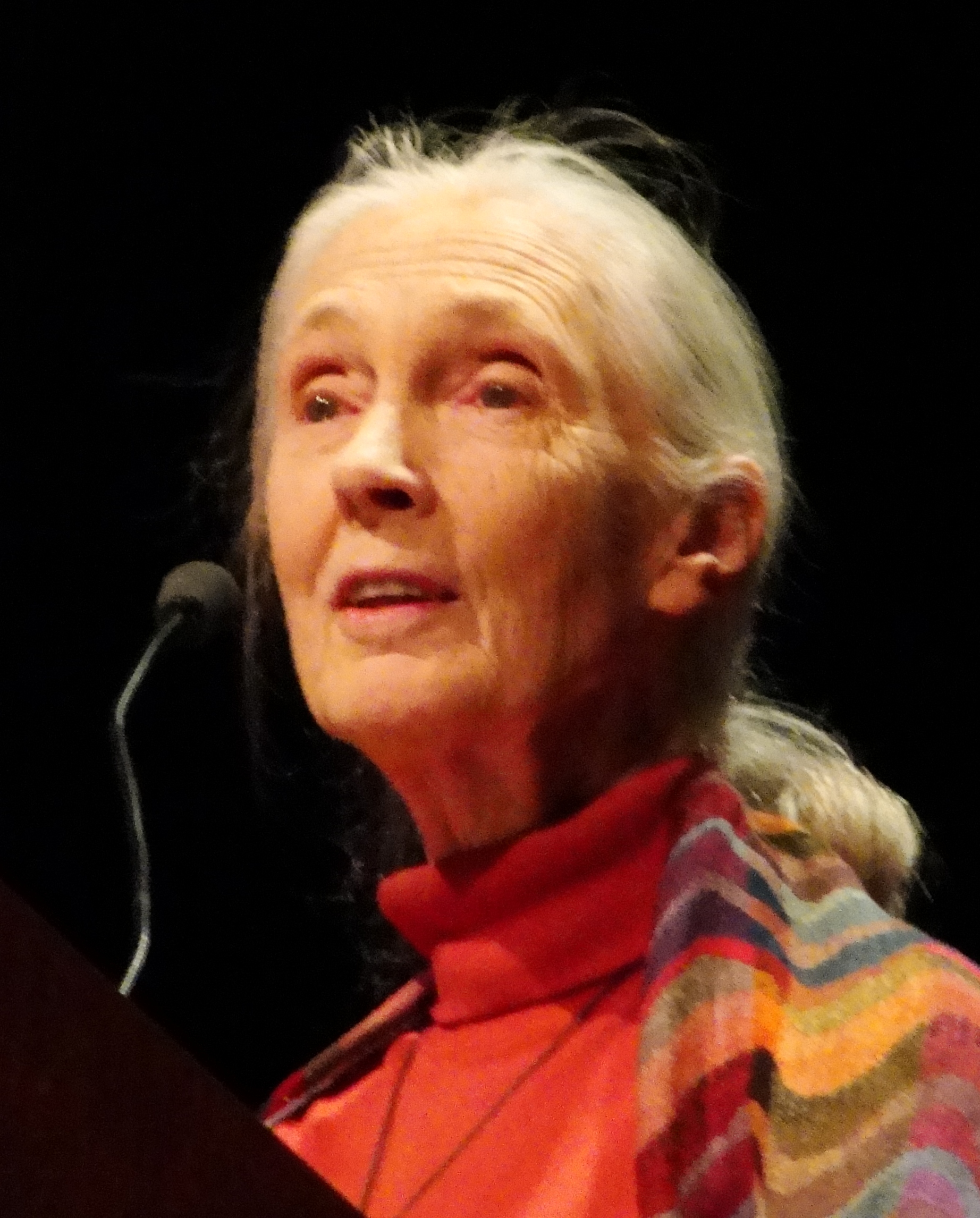 Poze Jane Goodall - Actor - Poza 5 din 5 - CineMagia.ro