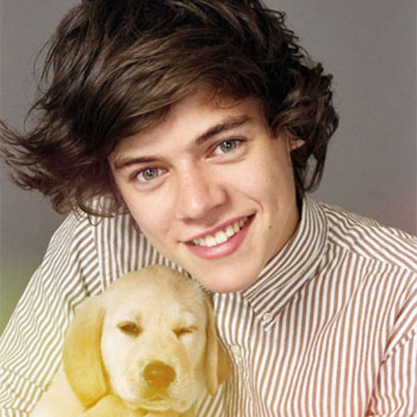 Poze Harry Styles
