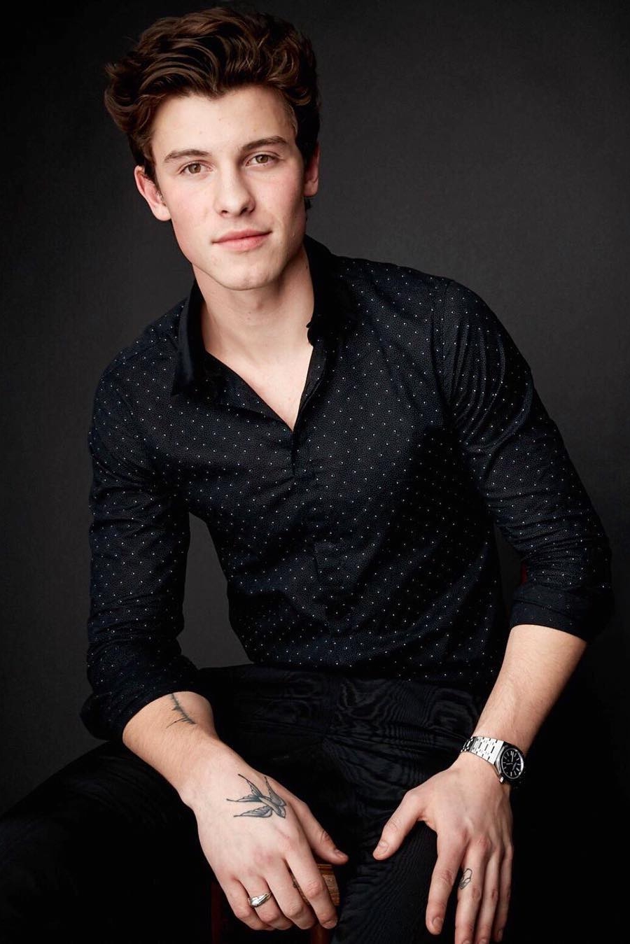Shawn Mendes Actor CineMagia ro