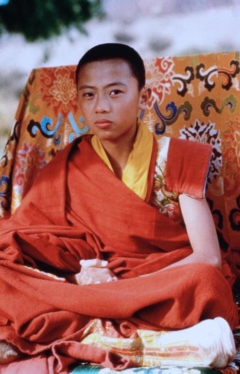 Imagini Seven Years In Tibet 1997 Imagini Apte Ani N Tibet   Seven Years In Tibet 337784l 