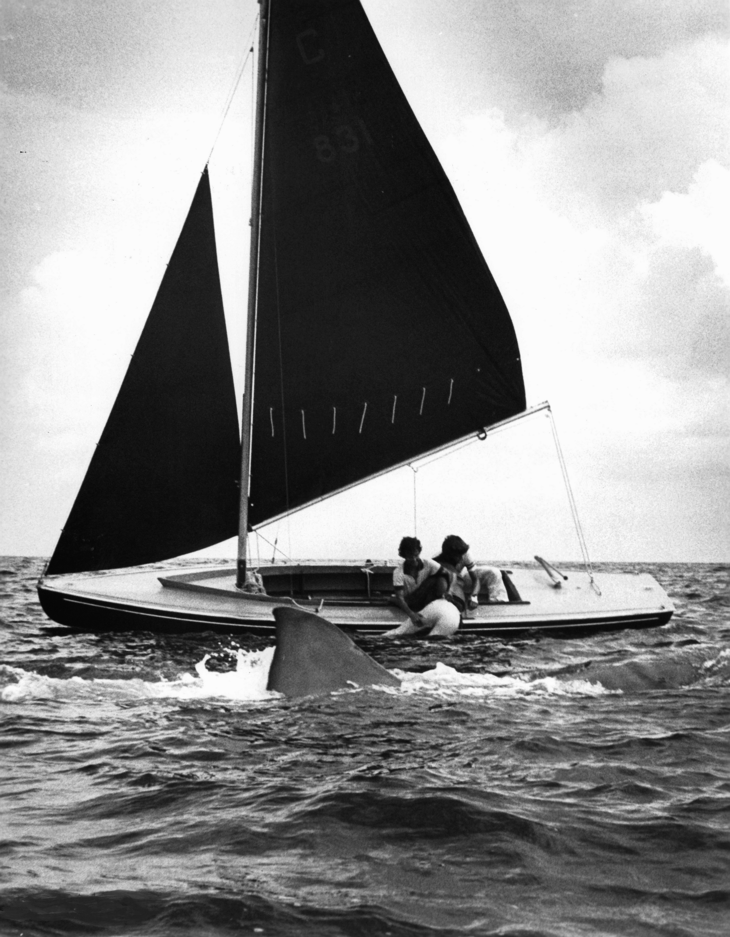 jaws 2 sailboats