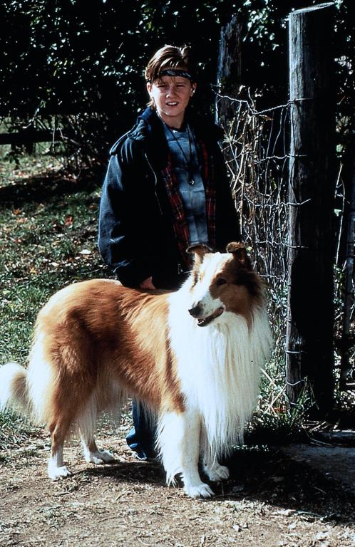 Imagini Lassie 1994 Imagine 6 Din 10 Cinemagiaro 