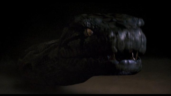 Boa vs. Python
