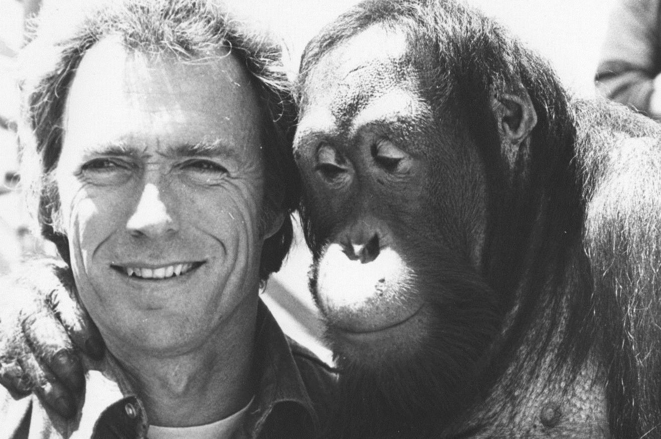 Клинт Иствуд с обезьяной