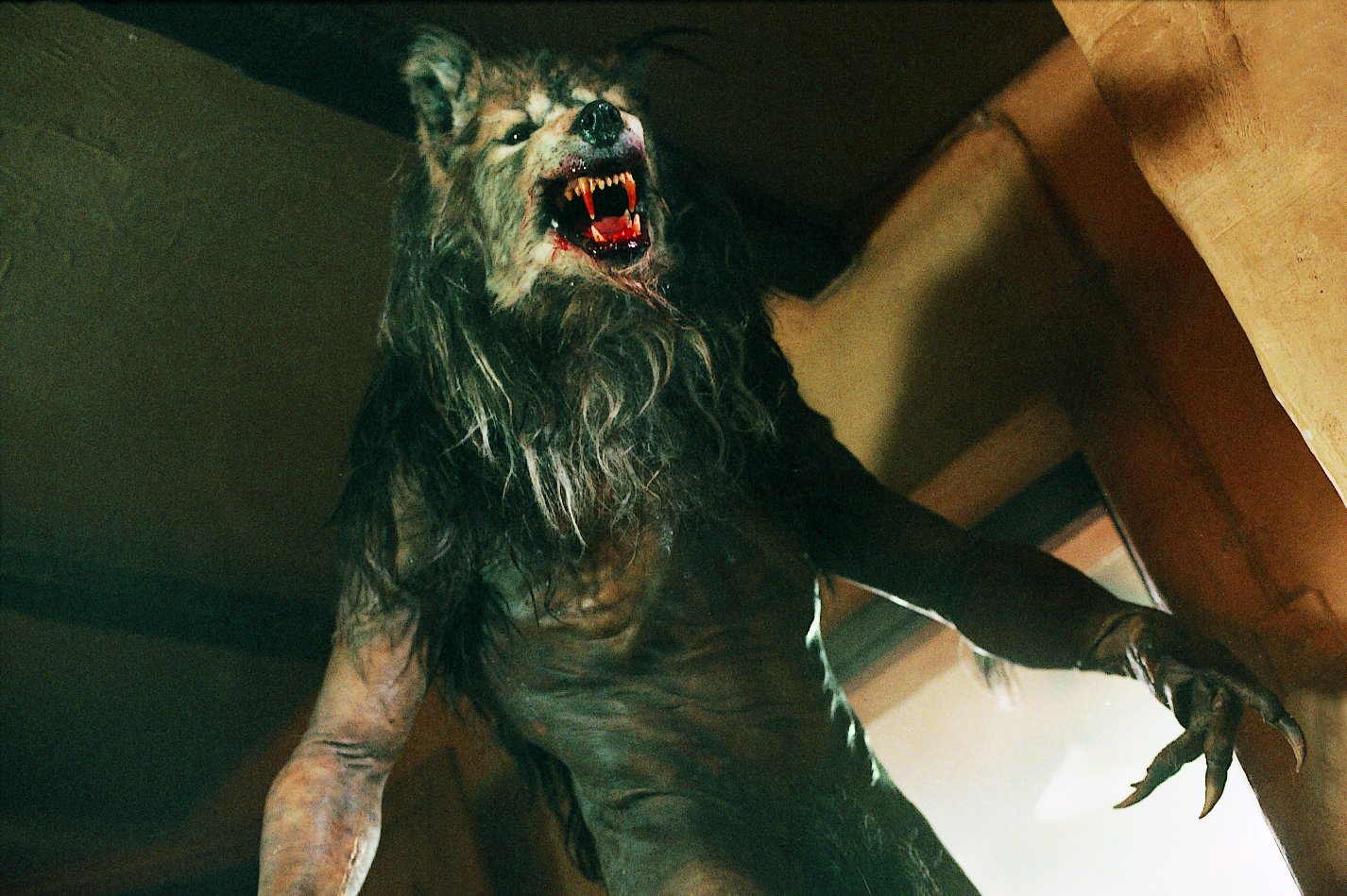 2002 Dog Soldiers