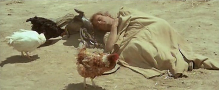 Un genio, due compari, un pollo