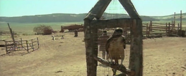 Un genio, due compari, un pollo