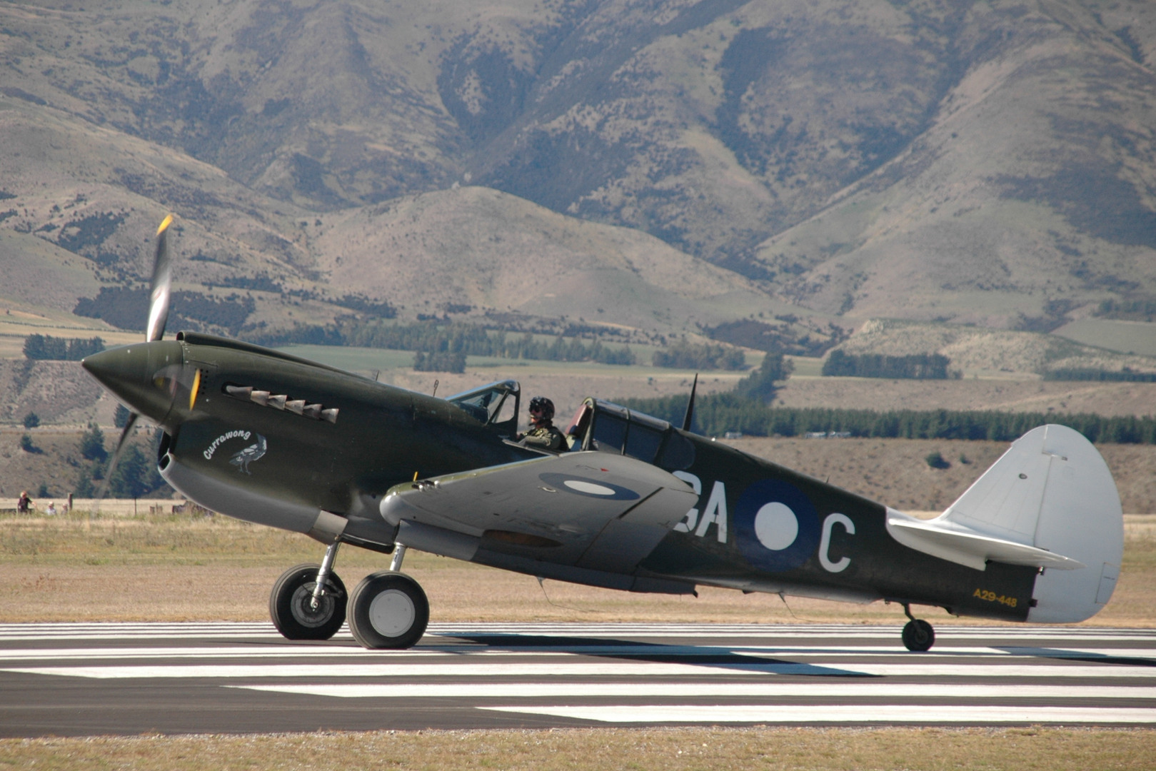 warbirds 2008