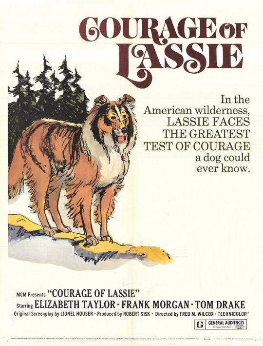 Poster Courage Of Lassie 1946 Poster Curajul Lui Lassie Poster 3 Din 5 Cinemagiaro 