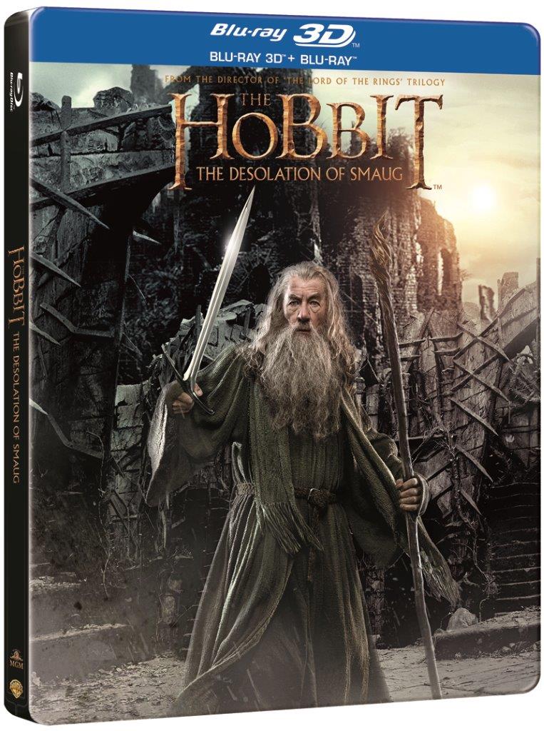 The Hobbit: The Desolation of Smaug for windows download