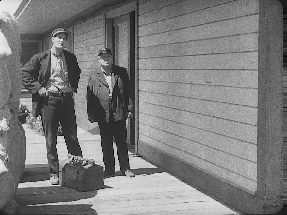 Steamboat Bill, Jr.