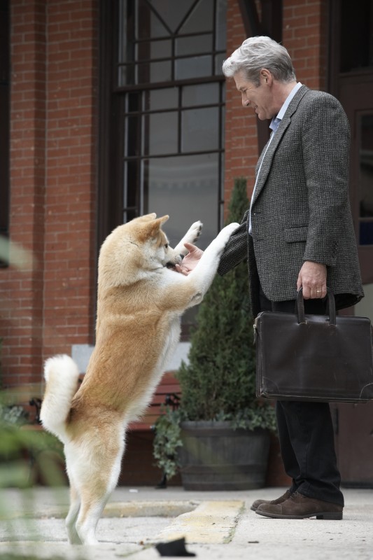 movie review hachiko dog's story