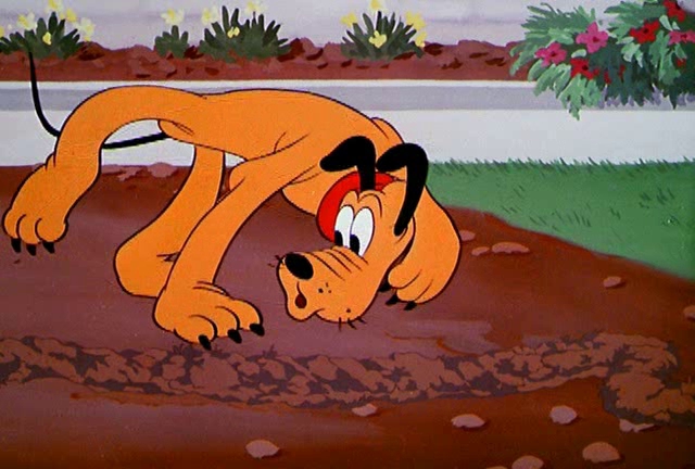 Pluto and the Gopher