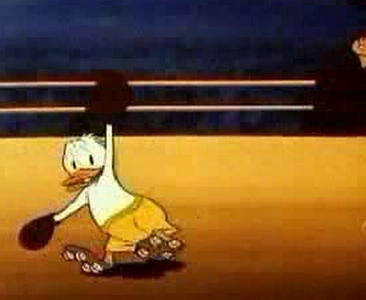 Canvas Back Duck