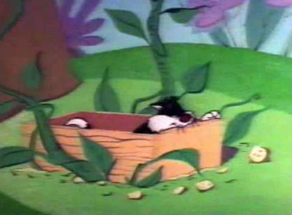 Tweety and the Beanstalk