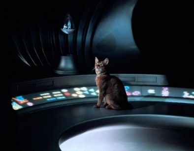 The Cat from Outer Space