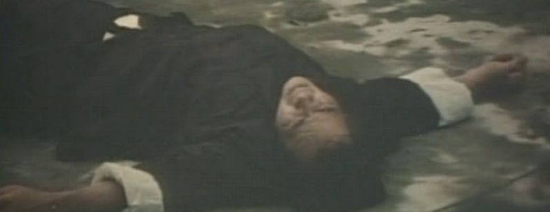 Guangdong shi hu xing yi wu xi