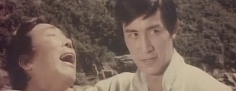 Guangdong shi hu xing yi wu xi