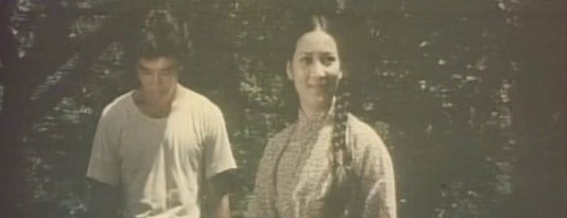 Guangdong shi hu xing yi wu xi