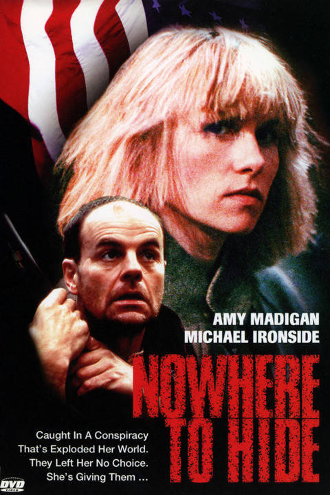 Лилейник nowhere to hide фото и описание