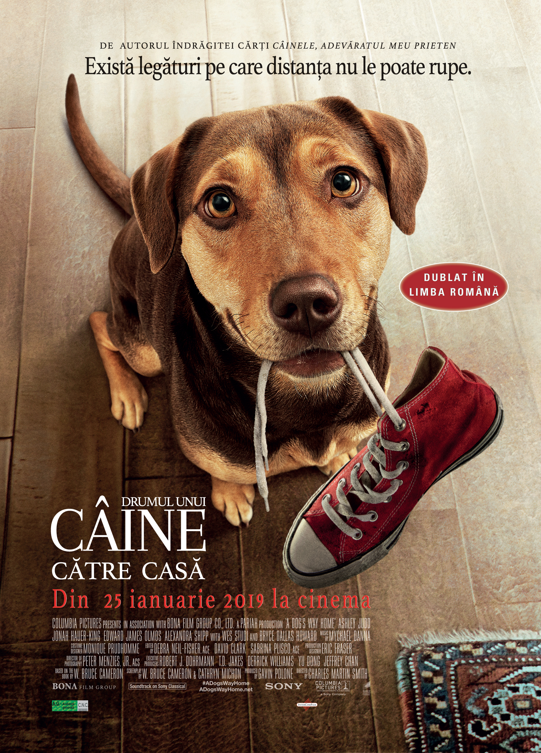 A Dog S Way Home Drumul Unui Caine Către Casă 2019 Film