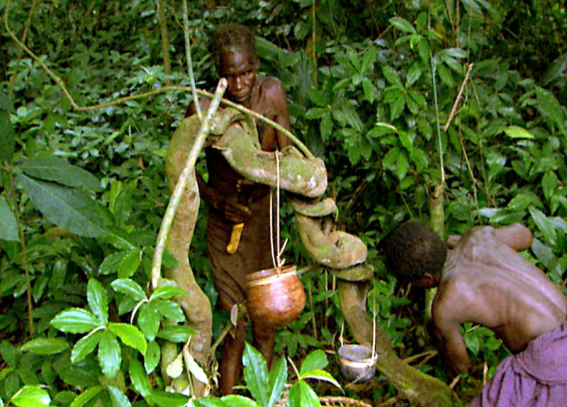 congo white king red rubber black death essay The crisis in the congo feat belgium august 26, 2015 valerie girerd dhr essay: congo: white king, red rubber, black death dir. congo white king red rubber black death essay The crisis in the congo feat belgium august 26, 2015 valerie girerd dhr essay: congo: white king, red rubber, black death dir.