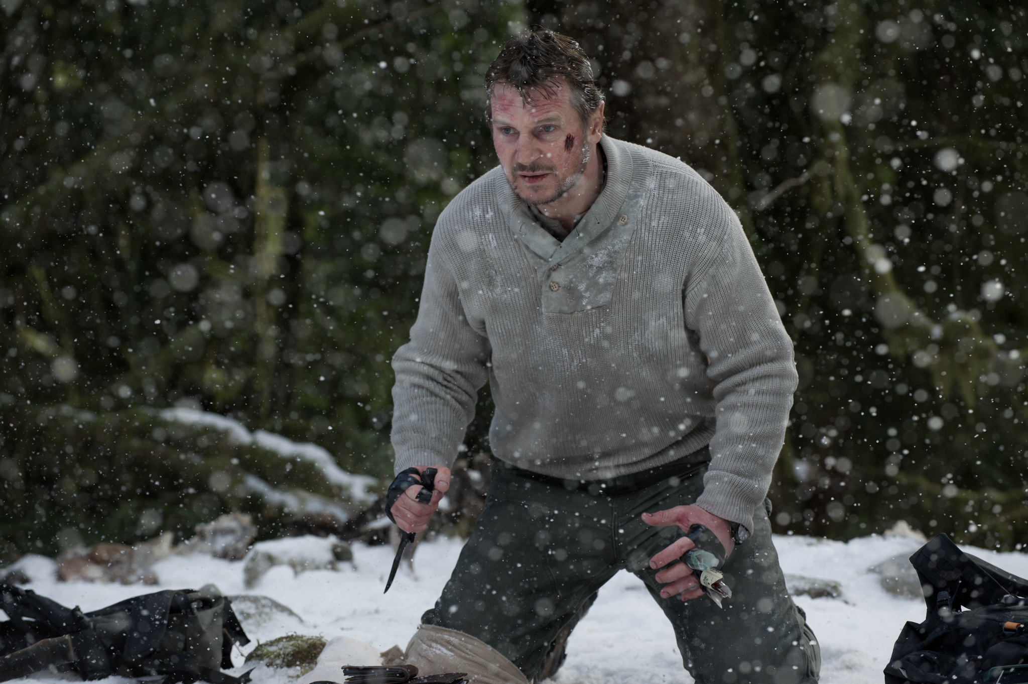 Poze Liam Neeson în  The Grey