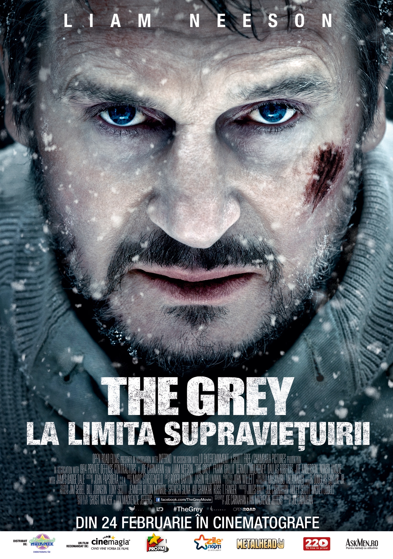 Previously Breaking news Thaw, thaw, frost thaw The Grey - The Grey: La limita supraviețuirii (2011) - Film - CineMagia.ro