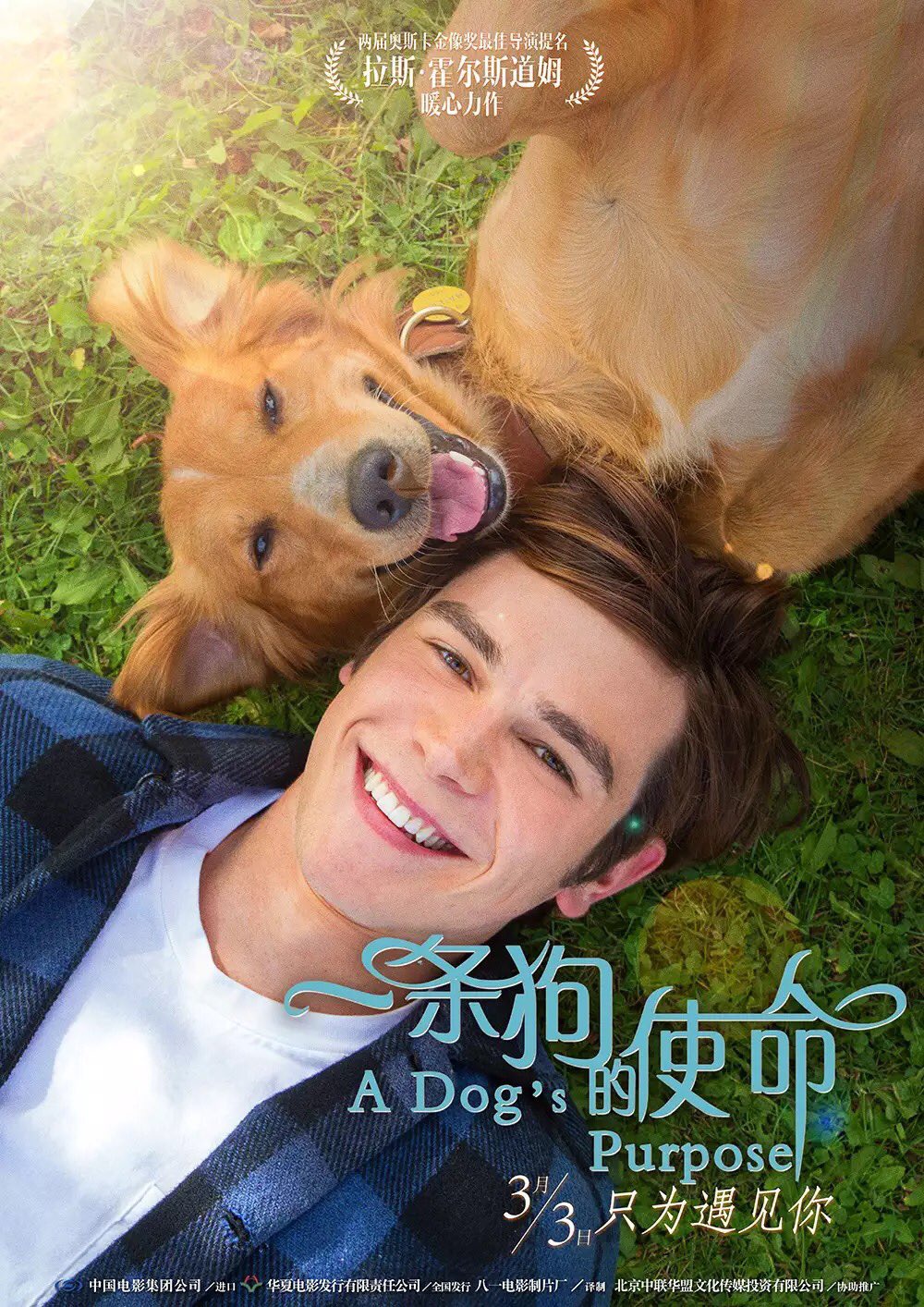 Poster A Dog S Purpose 2017 Poster Cainele Adevăratul Meu