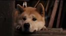 Trailer film Hachiko: A Dog's Story