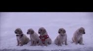 Trailer Snow Buddies